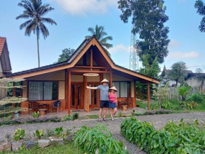Pesona Java Ijen Homestay